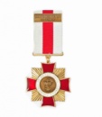 Медаль «За бездоганну медичну службу»