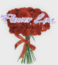 Букет квітів замовити Гвоздика колір на вибір 25 шт. Квіти на подолі з доставкою Ⓜ️