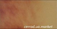 Jesienny Liść Cerrad 14,8*30 Церрад Осінній Лист