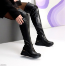 Ботфорти Risto демі 26053