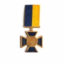 Медаль «Хрест патріота України»