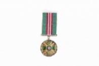 Медаль «Ветеран ДПСУ»
