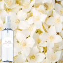 Гідролат Pure «Жасмин» для всих типів шкіри 100мл