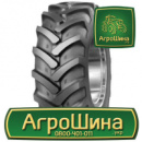 Индустриальная шина Mitas TR-01 15.00/55R17