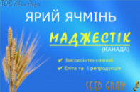 Маджестік