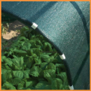 Забірна сітка затінення|110%|1×10м