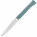 Нож кухонный Opinel Bon Appetit Plus серо-зеленый (002195)