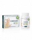 CORDYCEPS КОРДИЦЕПС 20 РАСТИТЕЛЬНЫХ КАПСУЛ В БЛИСТЕРАХ