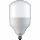 Высокомощная светодиодная LED лампа TORCH-40