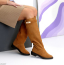 Чоботи Orion демі 25407