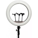 DM Лампа Кільцева LED 45 cm 18« 256 Lights Touch Switch Adapter LJJ-45 (Код товару:41072)