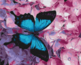 Картина за номерами «Метелики на квітах» 40х50см
