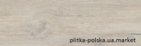 Naturalmood Grey Gres Szkl. Paradyz 20х60 Парадиж Натуралмуд Грей