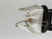 Сумка жіноча Chanel 25 Small Handbag білий