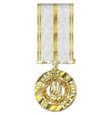 Медаль «За службу Україні»