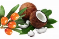 Шампунь ручной работы «Облепиха и зеленый чай» 100 мл