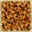 Солод пшеничный Wheat