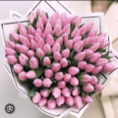 Купити Букет квітів замовити Тюльпан 51 шт. На подолі з доставкою Ⓜ️
