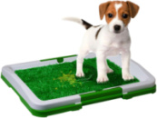 Лоток для собак Puppy Potty Pad ST201