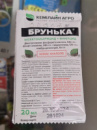 Брунька