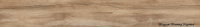 Плитка Teo Ceramics Canyon Beige F PR 150x900 R Mat