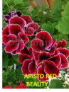 8. ARISTO RED BEAUTY