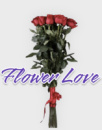 Троянда 120 см , ♥️ магазин квітів на подолі, букет квітів, замовити доставка ⭐