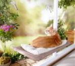 Спальное место для кошки кровать крепление лежанка оконная гамак Sunny Seat Window