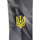 Захисна вінілова плівка StatusSKIN на корпус телефону (Герб 2 (на чорному)) (Код товару:34147)