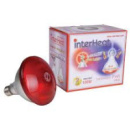 Лампа инфракрасная InterHeat 175W (Корея)