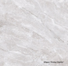 Teo Ceramics Bruno Grey F P 600x600x8 RN Mat