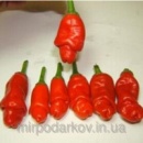 Семена Секси перчики Chilly Willy Penis Peppers