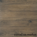 Dark Brown Ragaya Cerrad 60*60 Церрад Рагая Дарк Браун