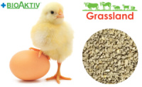 Комбикорм Grassland для цыплят бройлеров «Стартовый» (1-14 дн) (25кг)