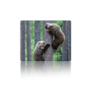 Коврик 250*300 тканевой Two Bears, с боковой прошивкой, толщина 2 мм