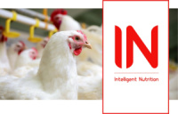 ​INPh Poultry (інпеаш полтрі) - підкислювач для птиці з антибактеріальною дією