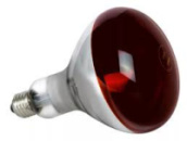 Лампа красная ИКЗК «Bellight» 250W (Польша)