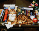Картина за номерами «Кіт на книжній полиці» 40х50см