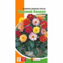 Жоржини махрові ниизькі Чудовий балкон 0.3 г. Яскрава