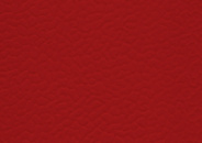Линолеум спортивный LG Sport Leisure 4.0 Solid / Red LES6200