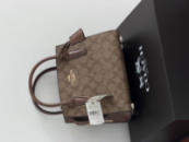 Сумка Coach Andrea Carryall бежевий