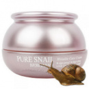 Bergamo Pure Snail Wrinkle Care Cream 50мл