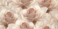 Плитка Опочно | Opoczno серия ROYAL GARDEN. Декор Royal Garden Flower 30х60