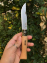 Нож Opinel LES IOXYDABLES 10VRI