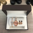 Подарочный Набор Michael Kors Bracelet/Watch/Earrings Gold