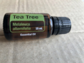 Чайное дерево - лучшее противогрибковое эфирное масло (Melaleuca alternifolia), 15 мл