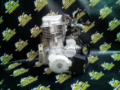 Двигатель Viper 200cc