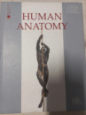 Human Anatomy / Анатомия человека. Учебник. Черкасов В.Г.