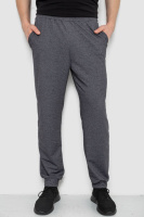 Спортивные штаны мужские, цвет темно-серый, 238R122-1