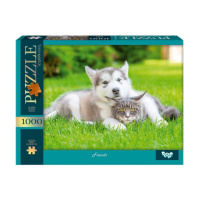 Пазл «Друзья» C1000-13-05, 1000 элементов